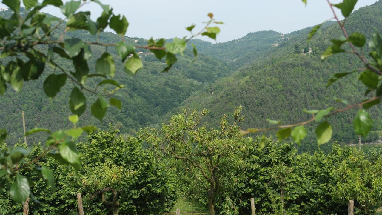 Bed and Breakfast Cit Ni Bosia Экстерьер фото
